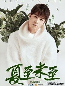 夏至未至里演员表,青春校园剧星光熠熠