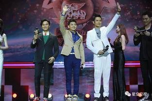 金被娱乐,揭秘娱乐圈的璀璨星河与幕后故事